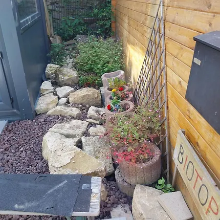 Kreativhof Biotopia Radapart Creglingen Exterior foto